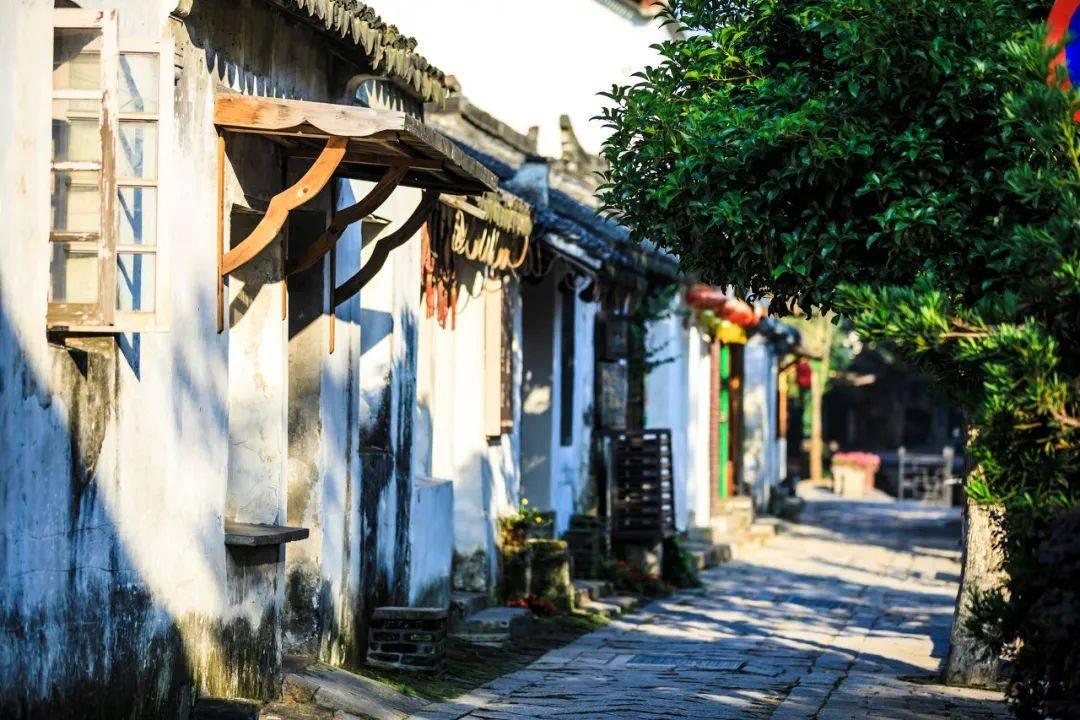 糯米粉可以做什么好吃的 三种美食做法介绍游戏画面
