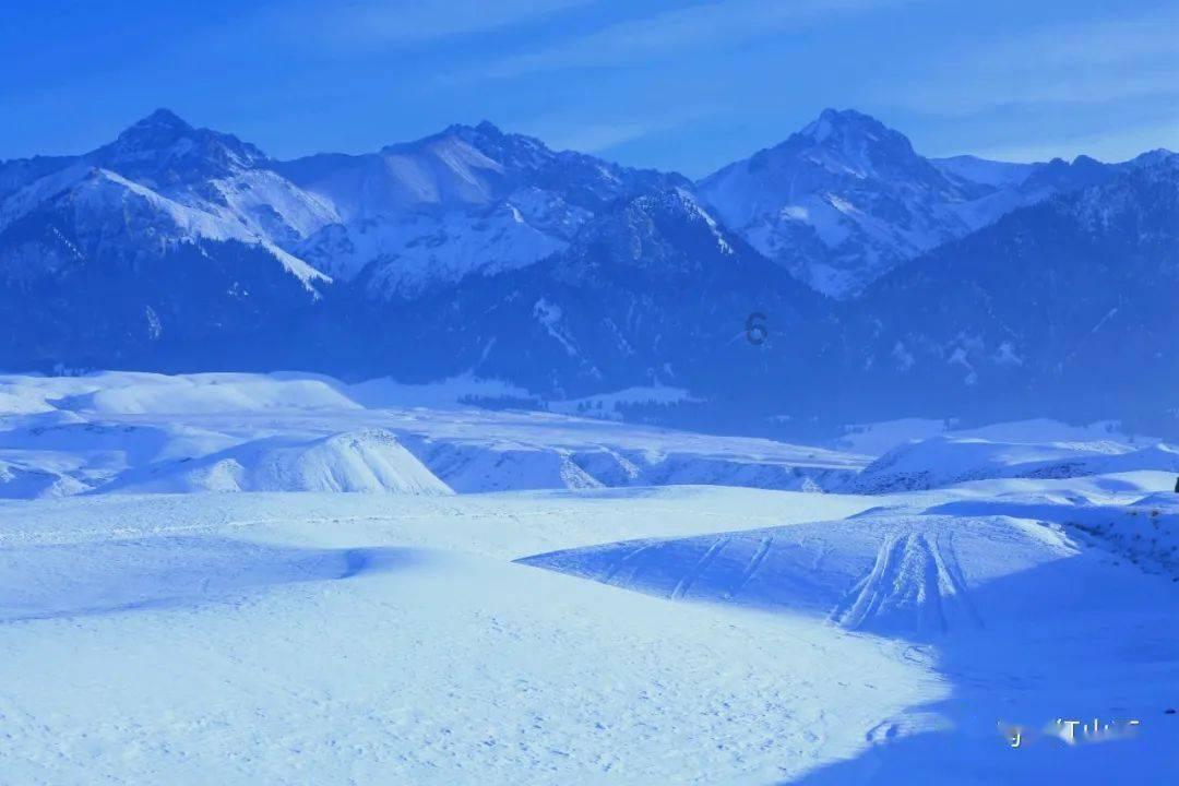 外出旅游遇到黑出租我们应该怎么办？打车时遇到非法克隆出租车怎么办？游戏画面